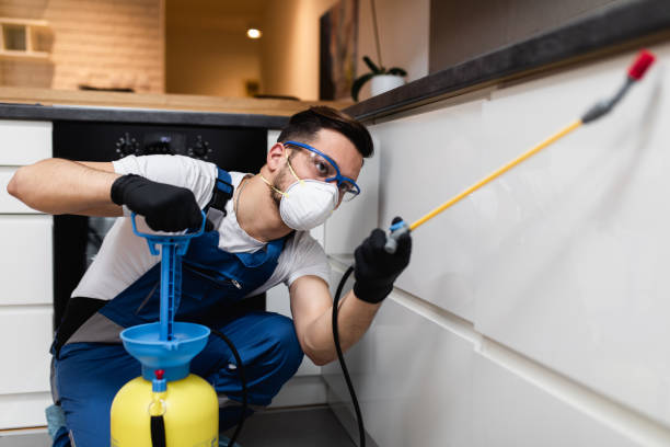 Best Affordable Pest Control Services  in Mulvane, KS