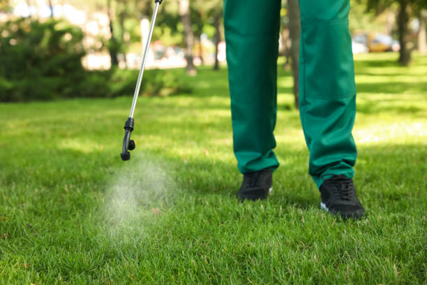 Best Wasp Removal Services  in Mulvane, KS