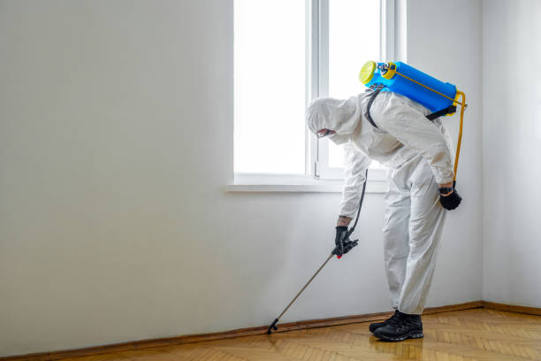 Best Best Pest Control Companies  in Mulvane, KS