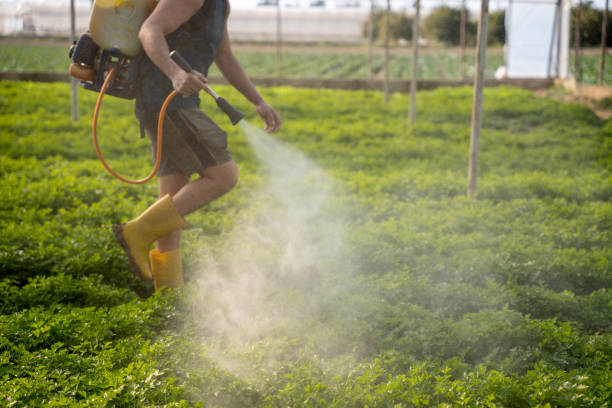 Best Pest Control for Restaurants  in Mulvane, KS
