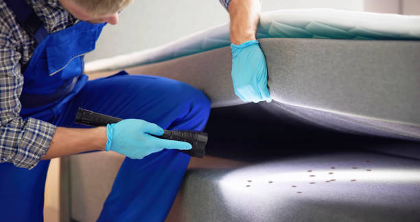 Best Affordable Pest Control Services  in Mulvane, KS