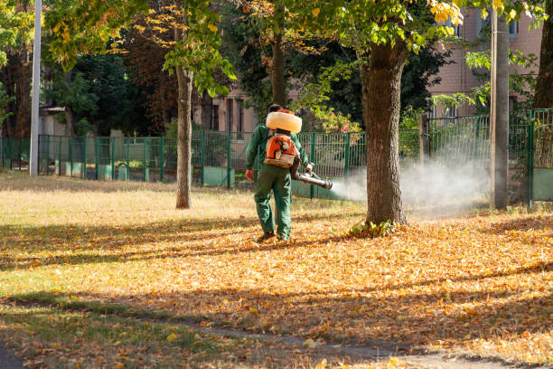 Best Pest Prevention Services  in Mulvane, KS