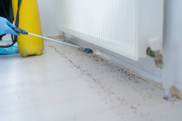 Pest Control for Restaurants in Mulvane, KS