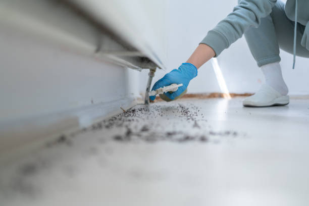 Professional Pest Control in Mulvane, KS
